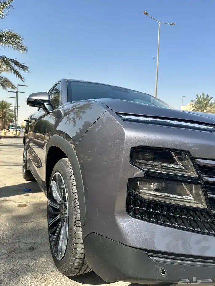 جيتور داشينج 2024 17