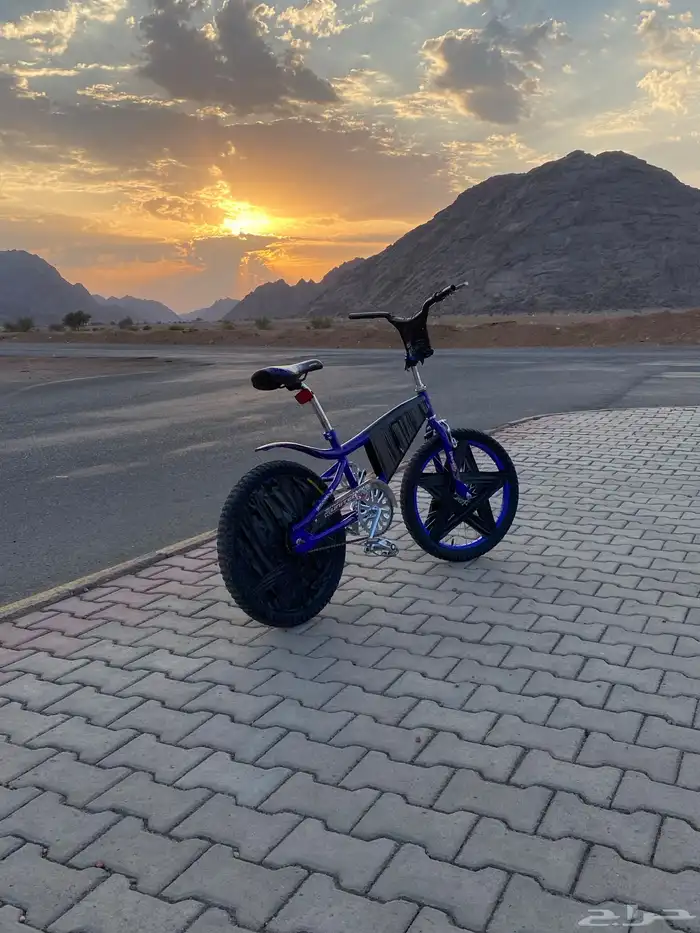 سيكل كوبرا ازرق 12