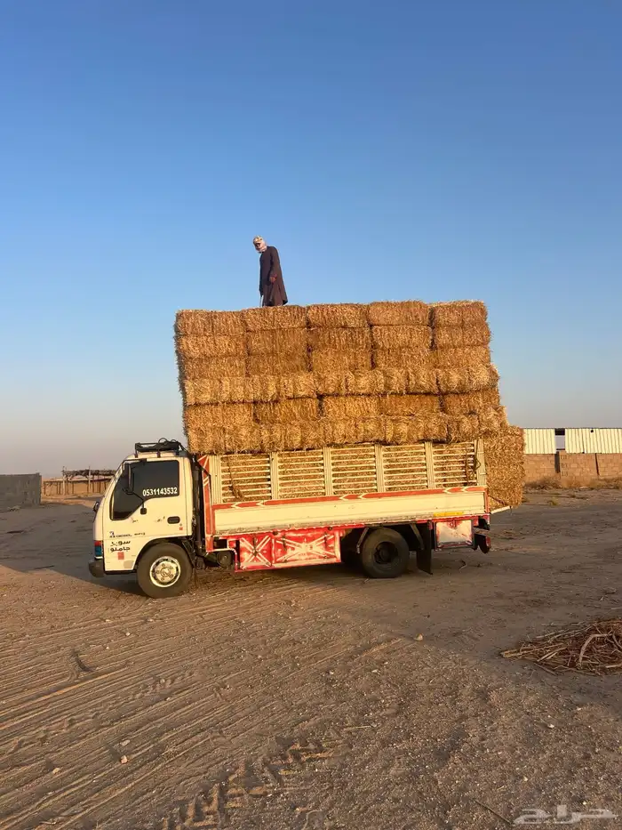 تبن بر صافي ناعم 0