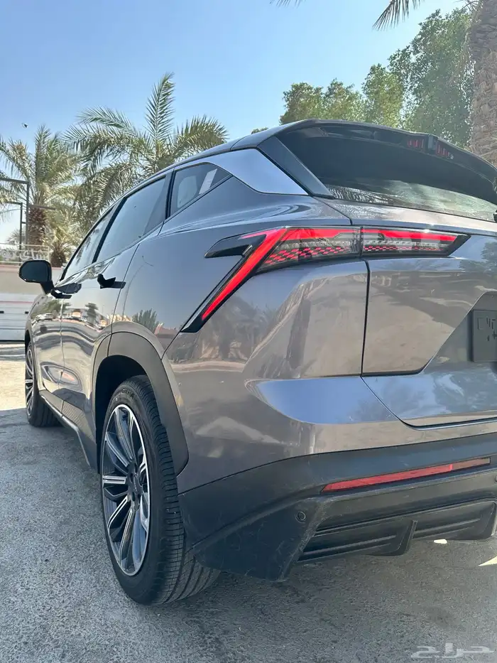 جيتور داشينج 2024 19