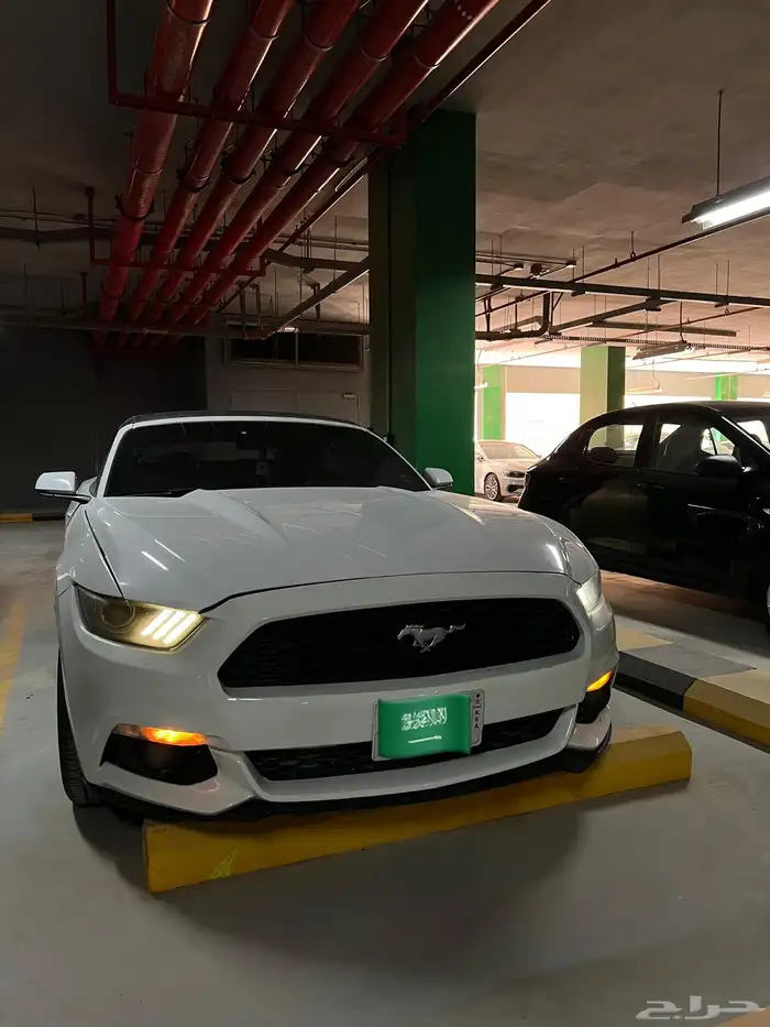 موستنق 2016 كشف 4 سلندر تيربو 8