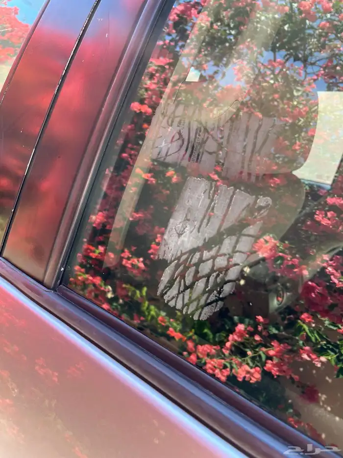 سكويا 2015 وكاله 14