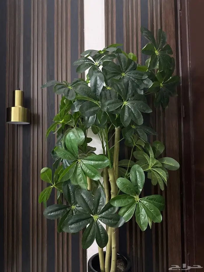 شجره صناعيه 0