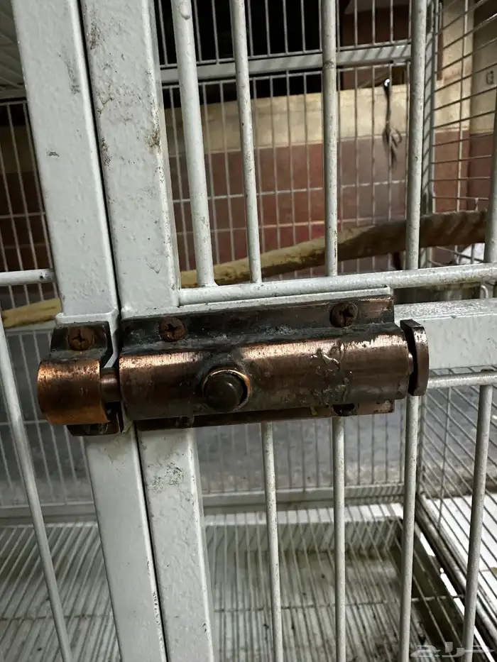 قفص ببغاء كبير و استاند بعجلات 6