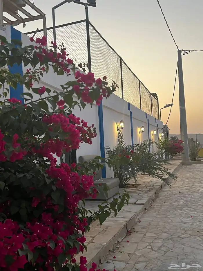 شاليه للإجار السنوي 15