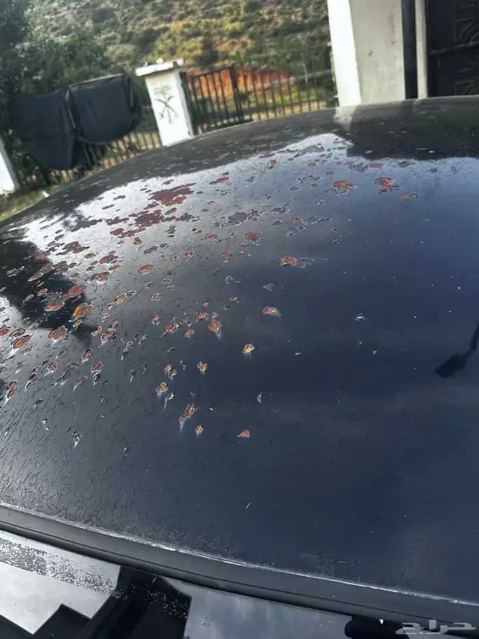 فورد كراون فكتوريا 2011 3