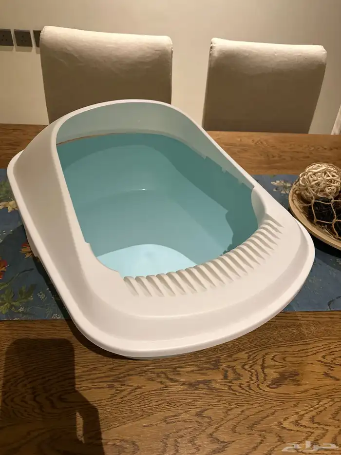 حمام قطط للتبرع 0