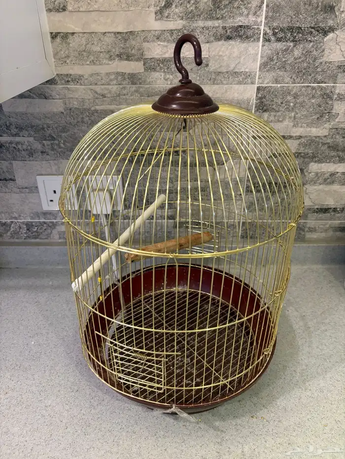 علاقة طيور وقفص 1