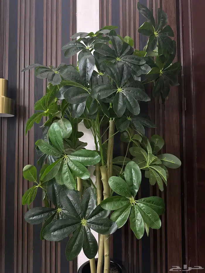 شجره صناعيه 1