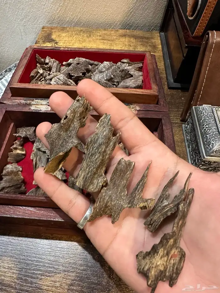 عود هندي فاخر وصندوق هندي فاخر 3