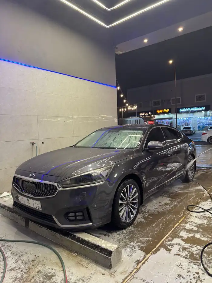 كادينزا 2017 17