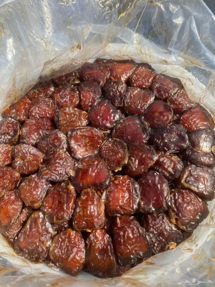 برني العيص 3