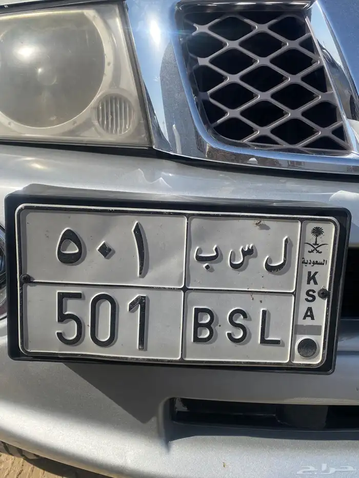 لوحة 501 0