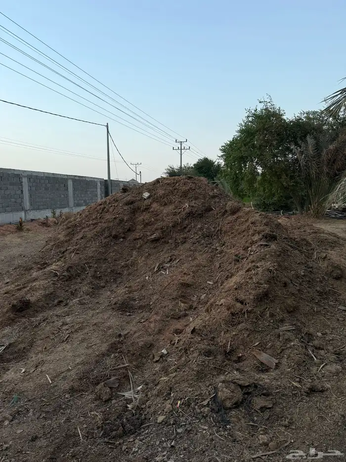 سماد بقري للبيع 1