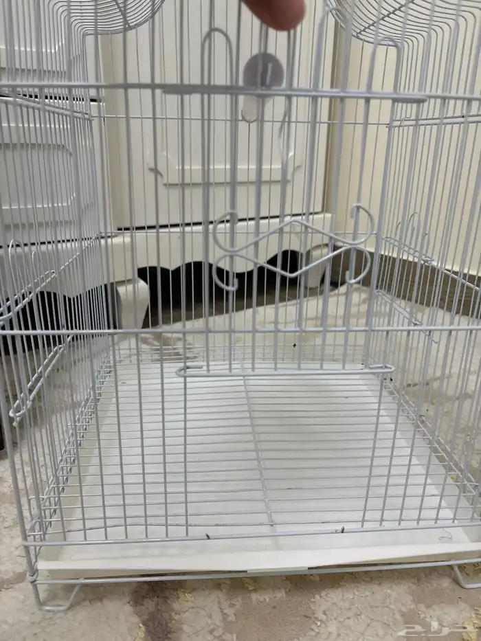 قفص طيور مقاسه تقريبا  30 ب 30 سانتي على السوم 1