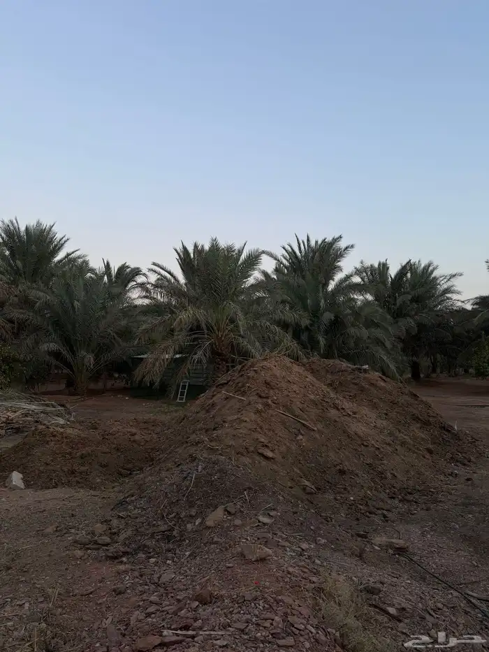 سماد بقري للبيع 2