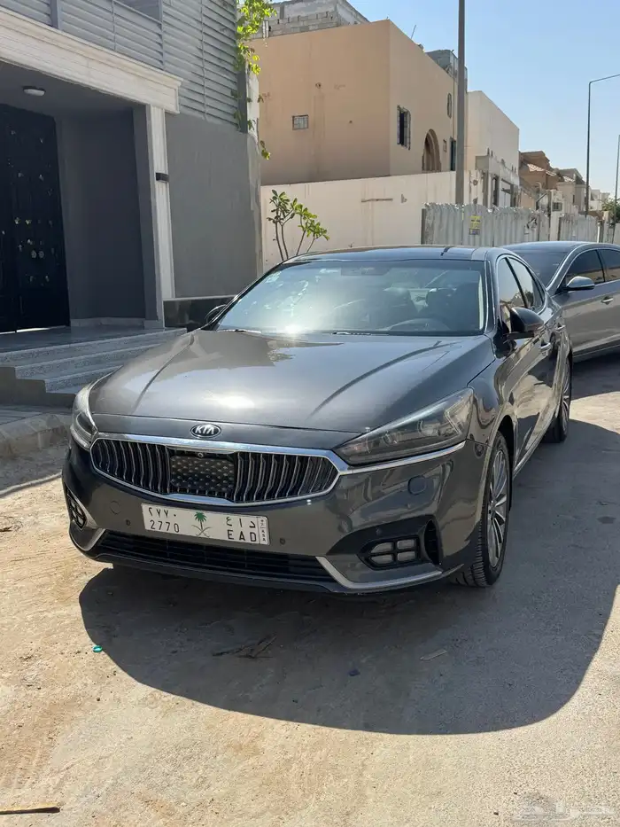 كادينزا 2017 10