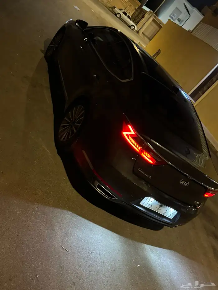 كادينزا 2017 3