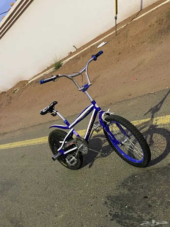 سيكل كوبرا ازرق 17