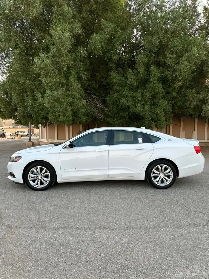 امبالا 2018 بدي وكاله نظيف 7