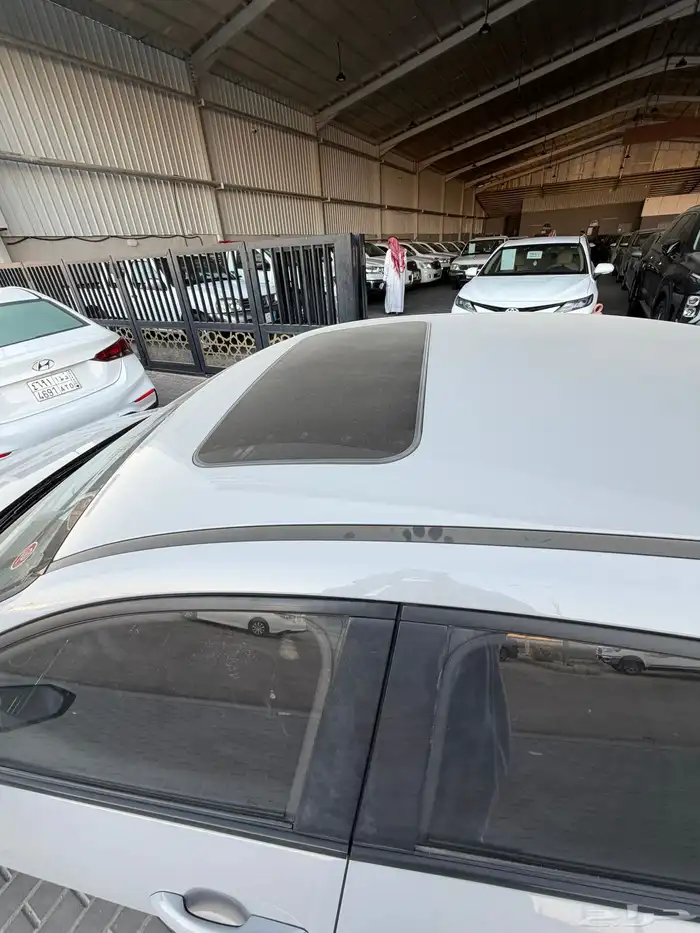 النترا 2023 24