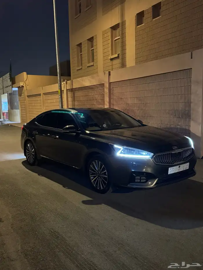 كادينزا 2017 1