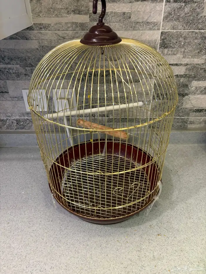 علاقة طيور وقفص 3