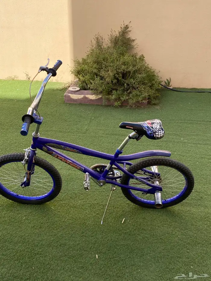 سيكل كوبرا ازرق 24