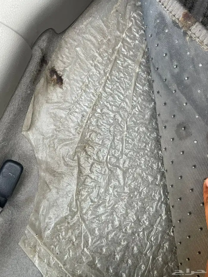 صني 2022 ممشى قيل وبحاله الوكاله 2