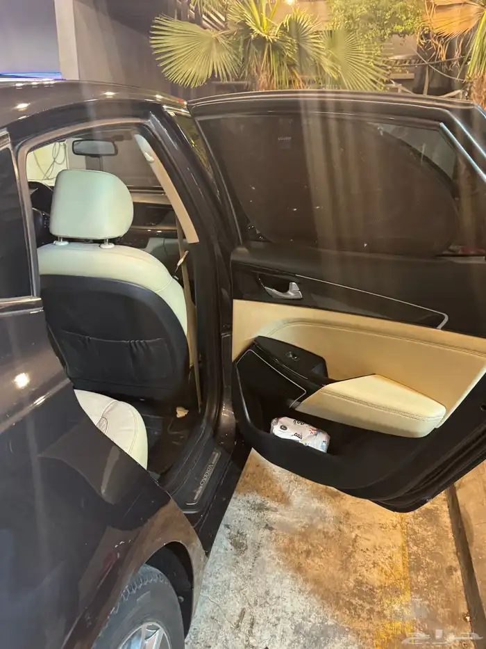 كادينزا 2017 13