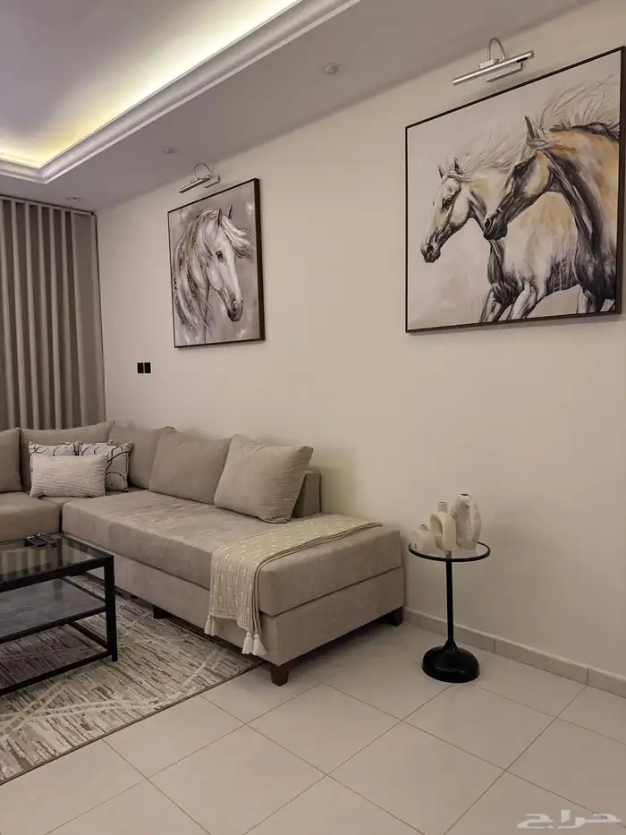 شقة مفروشة للايجار 3