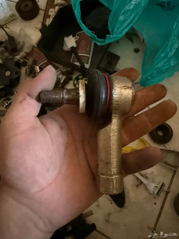 قطع كابرس ولومينا 61