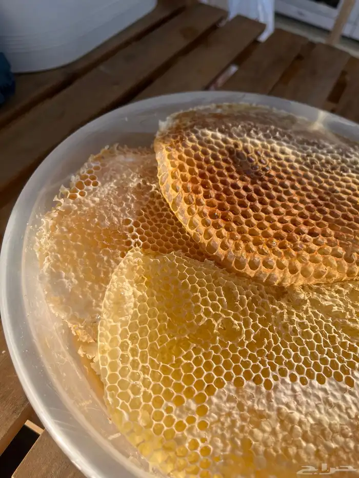 عسل سدر وضهيان جودة عالية 3