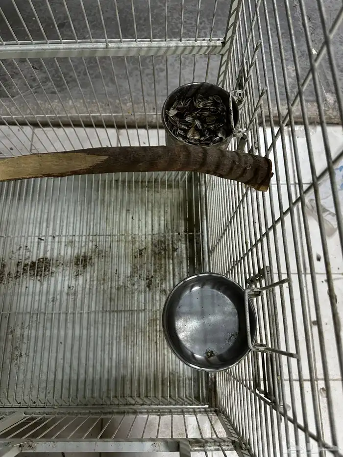 قفص ببغاء كبير و استاند بعجلات 4