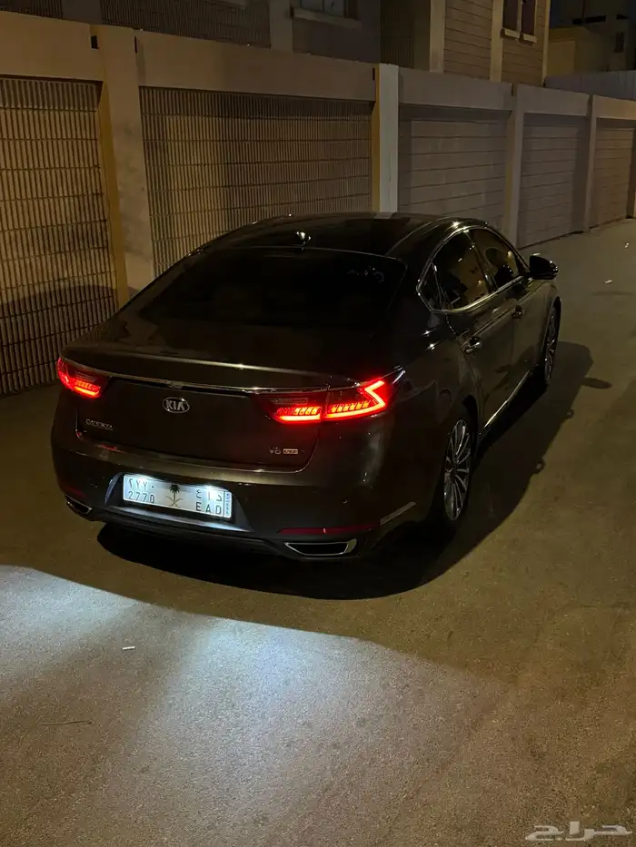 كادينزا 2017 5