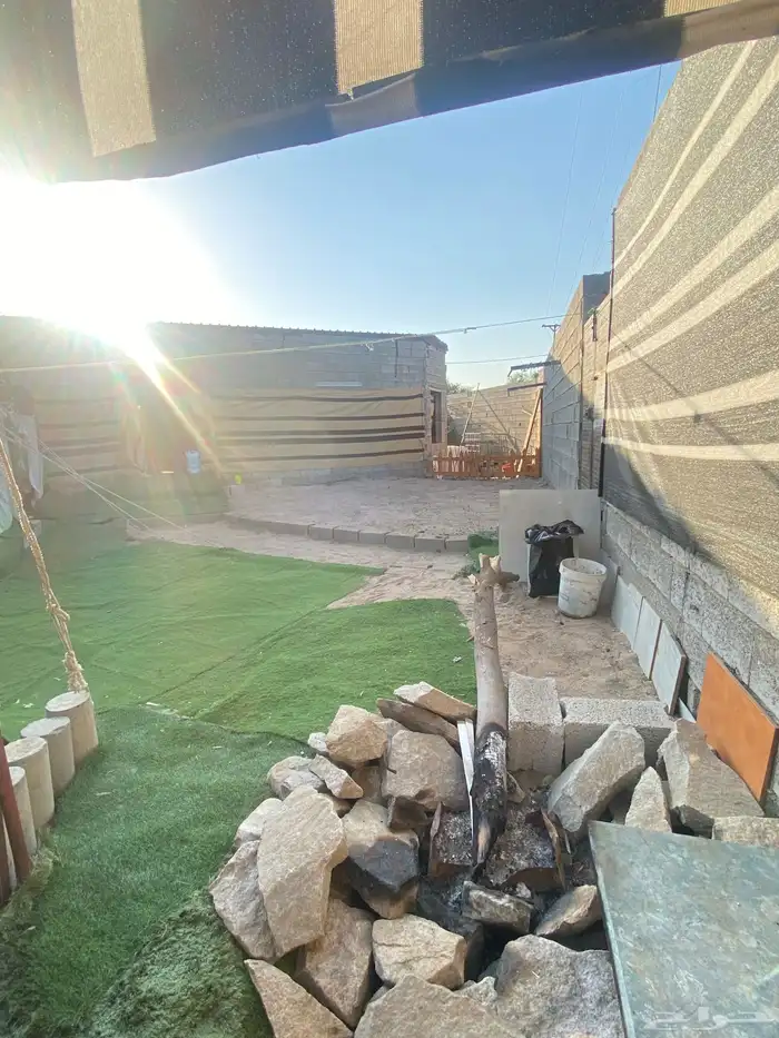 مخيمات حنين الربيع 5