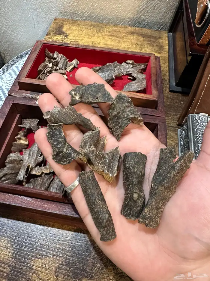 عود هندي فاخر وصندوق هندي فاخر 4