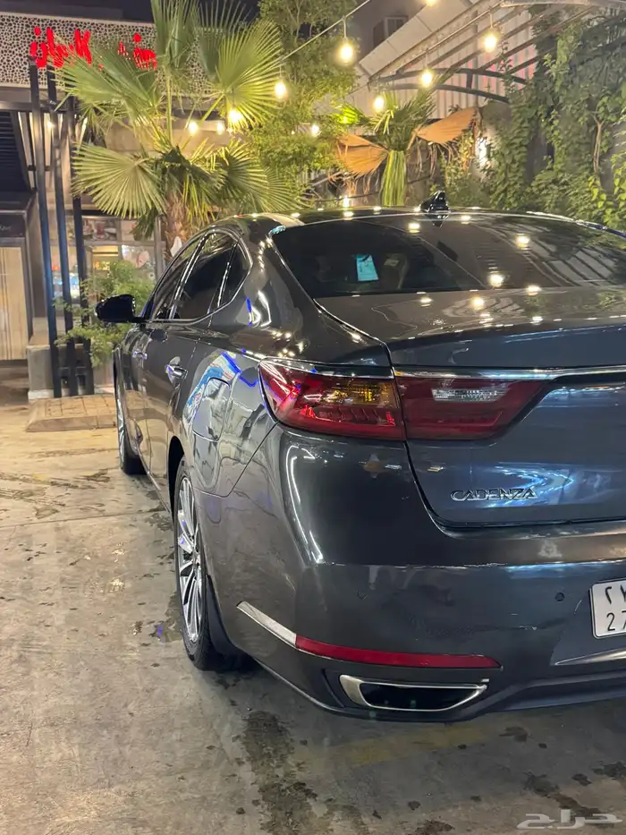 كادينزا 2017 16