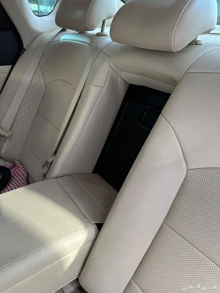 كادينزا فل كامل 2019 9