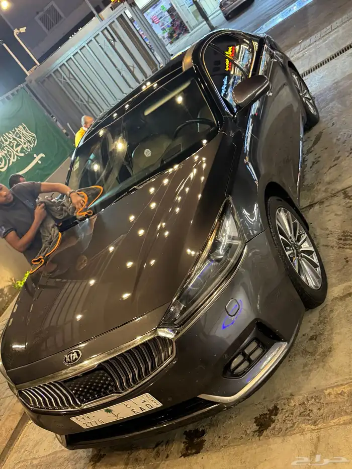 كادينزا 2017 14