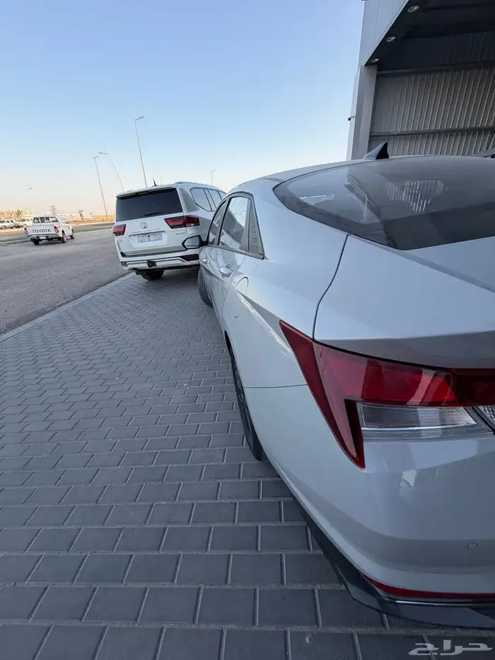 النترا 2023 11