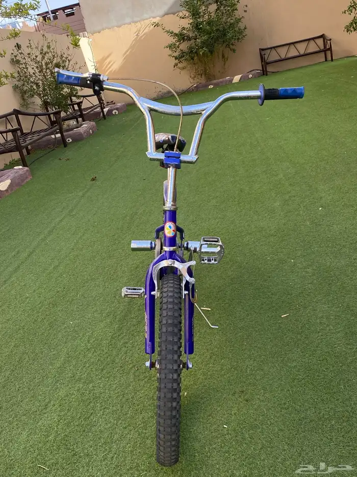 سيكل كوبرا ازرق 19