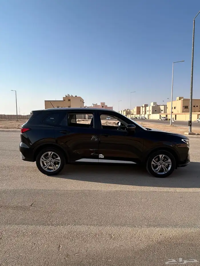 تيريتوري 2024 8