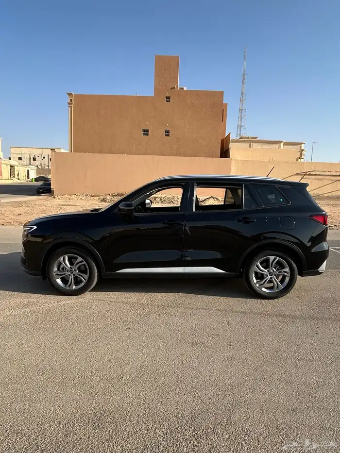 تيريتوري 2024 3