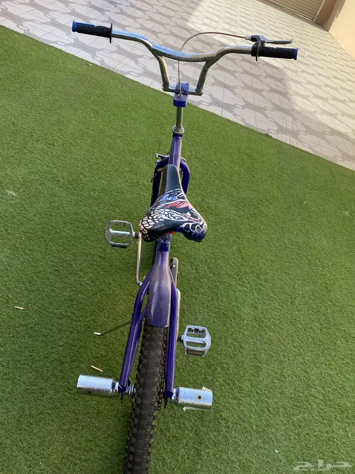 سيكل كوبرا ازرق 21