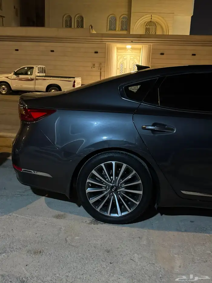 كادينزا 2017 8