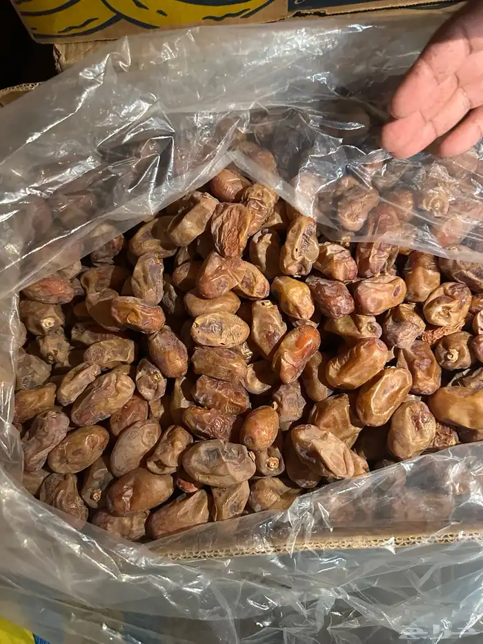 تمر خلاص فاخر 5