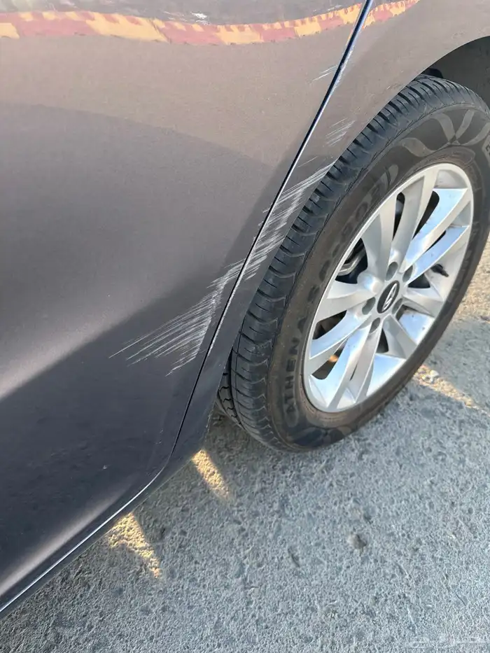 شيري اريزو5 6