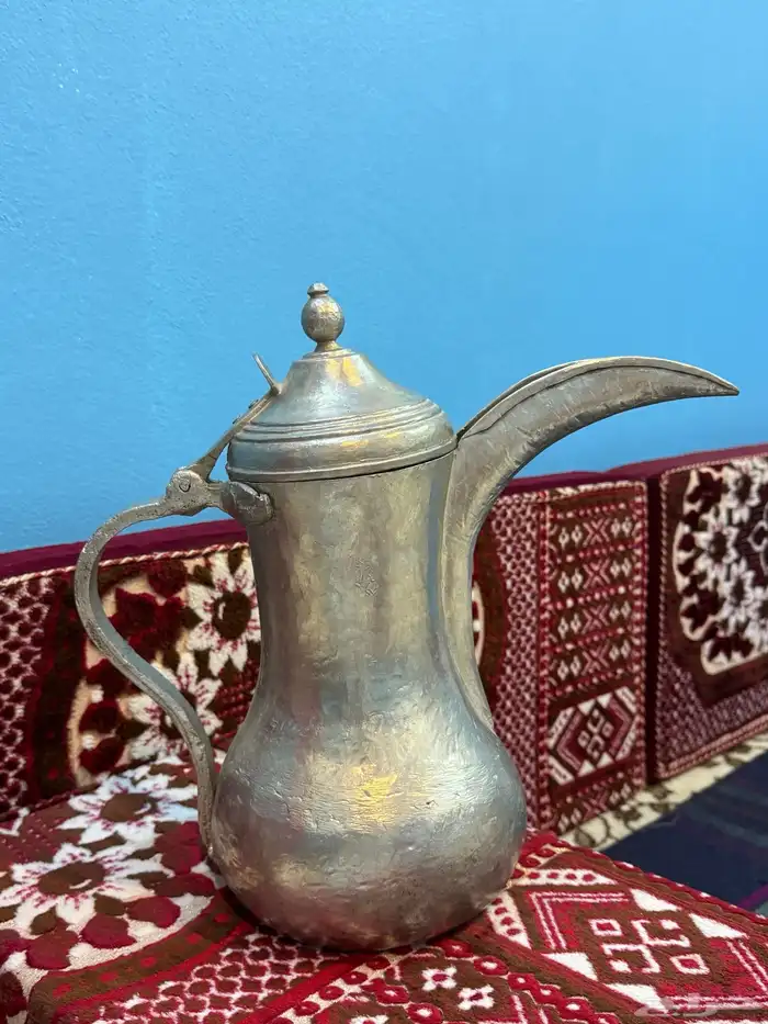 دله عراقيه اثري الحبارى 3