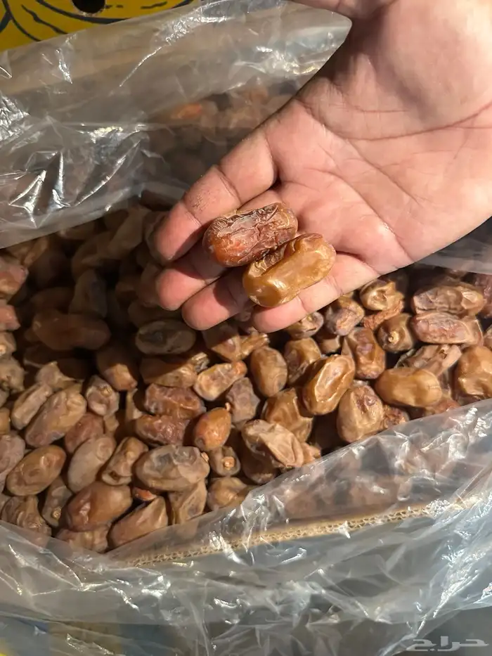 تمر خلاص فاخر 6